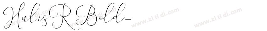 HalisR Bold字体转换